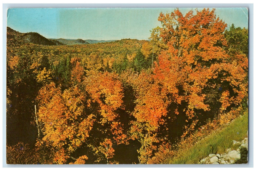 c1960's A Fall Scene Of Nature Algoma Central Railway Ontario Canada CA Postcard