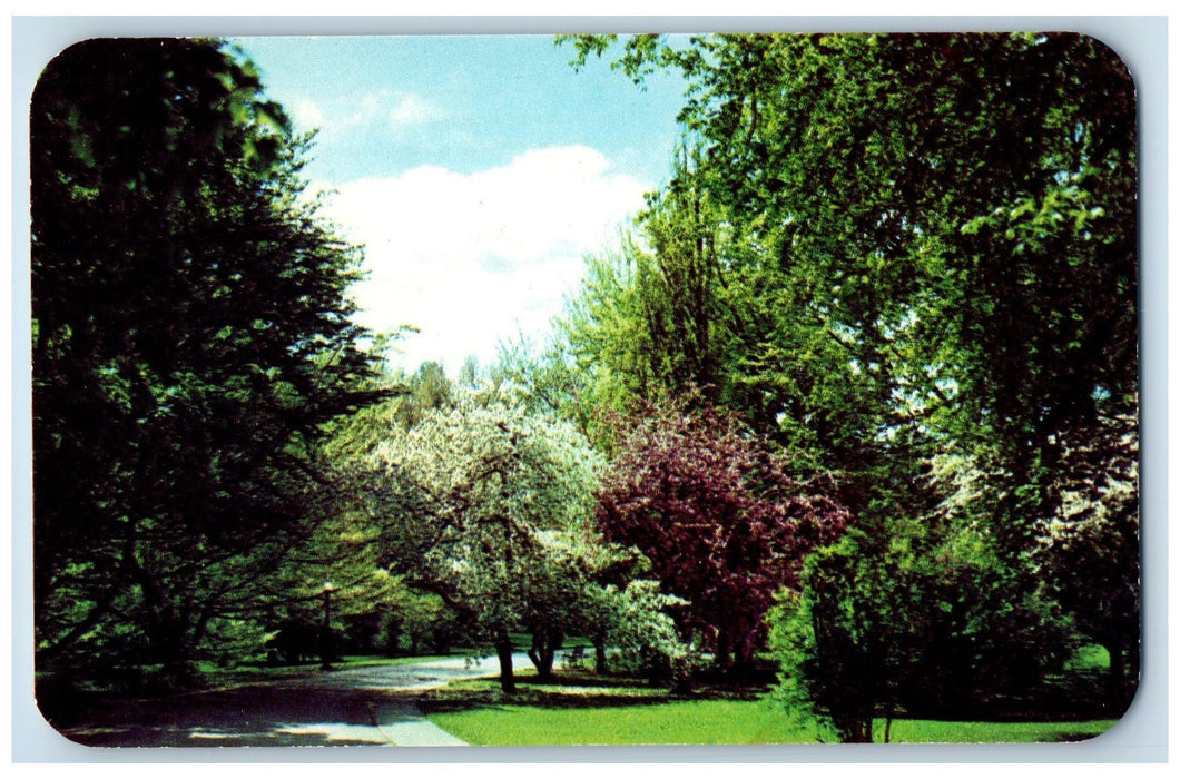 c1960s Springtime Veterans Administration Hospital Canandaigua New York Postcard
