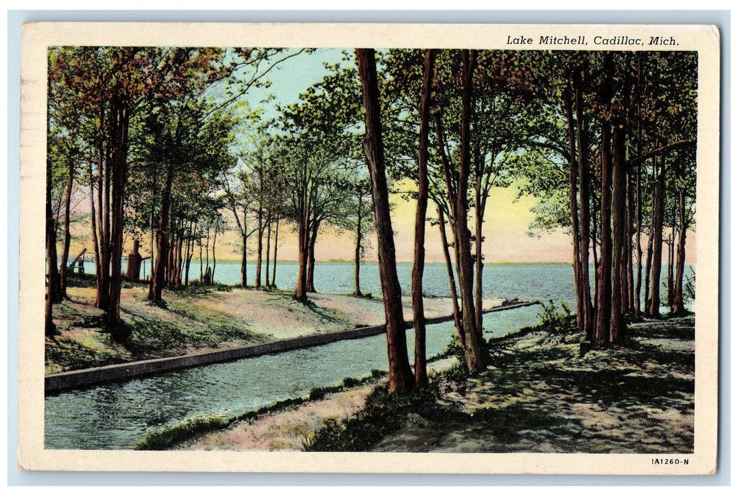 1951 Lake Mitchell Scenic View Cadillac Michigan MI Posted Vintage Postcard