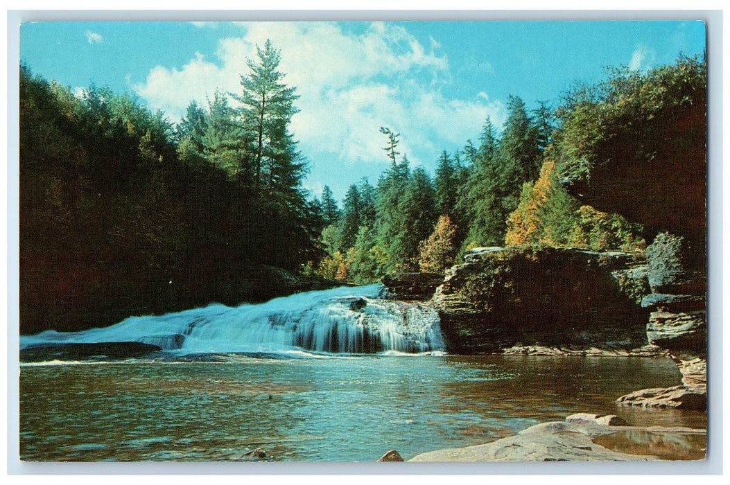 c1960's Swallow Falls Scenic View Attraction Garett County Maryland MD Postcard