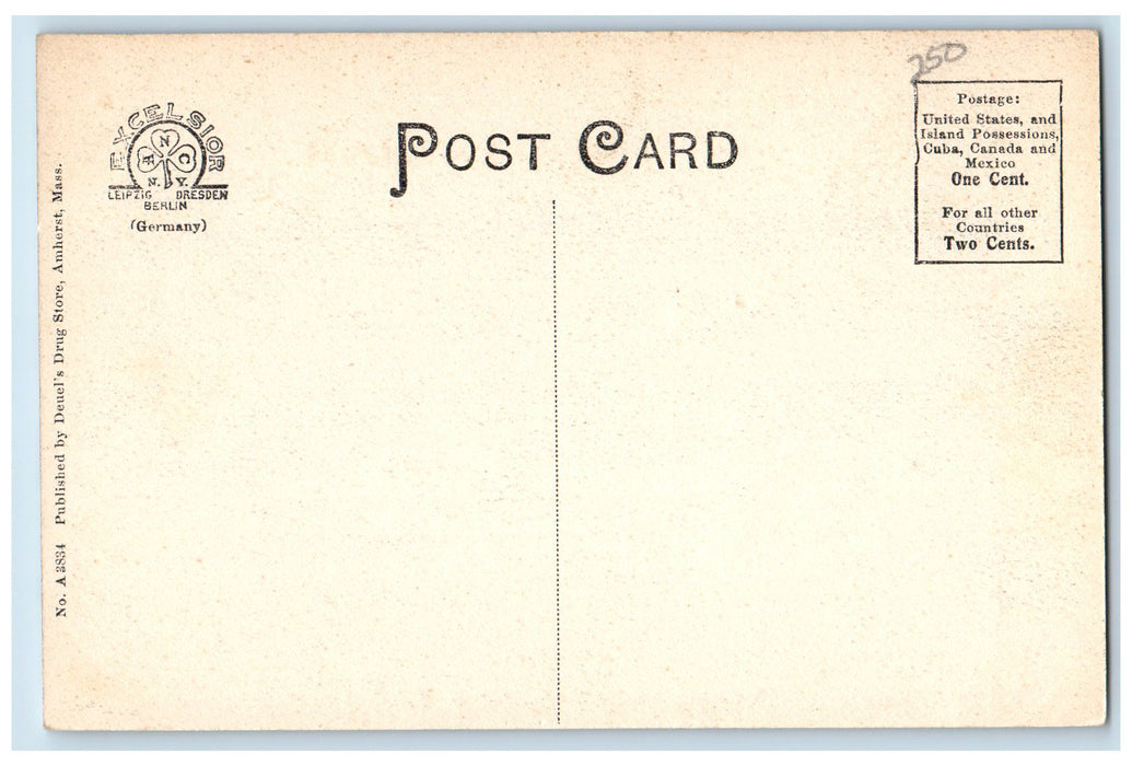 c1920's Natatorium Amherst College Amherst Massachusetts MA Unposted Postcard