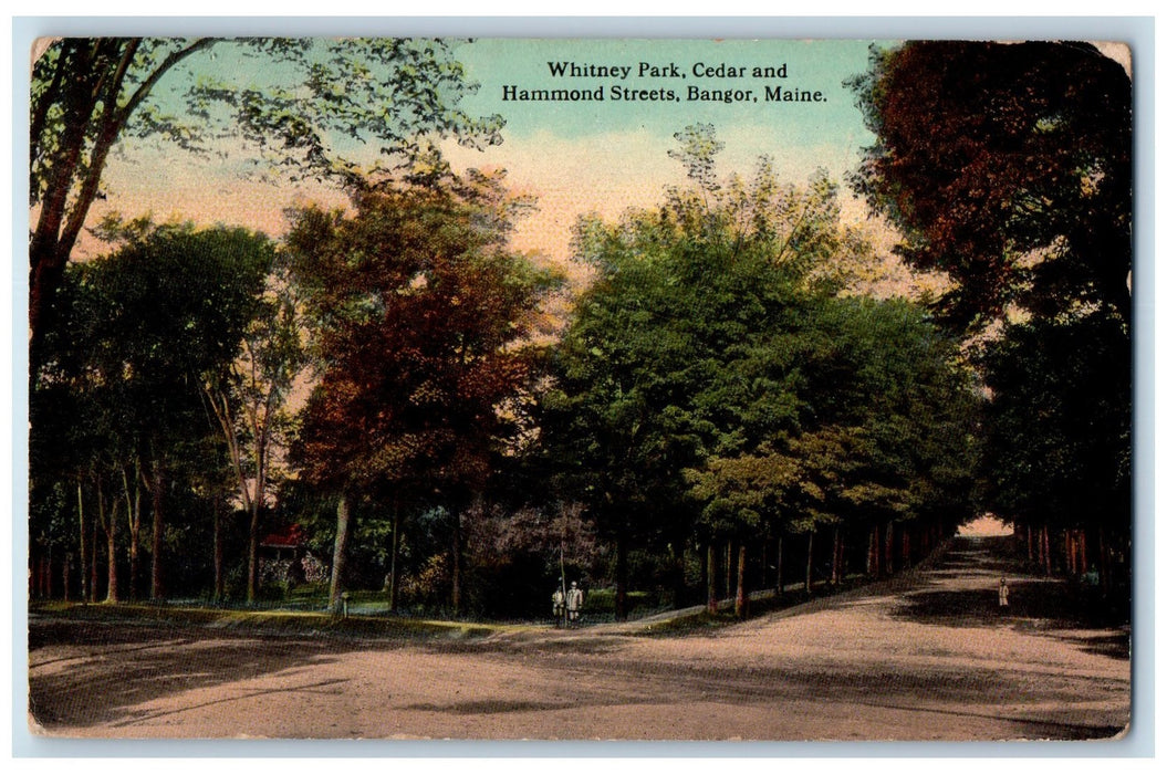 1913 Whitney Park Cedar Hammond Streets Dirt Road Lined Trees Bangor ME Postcard