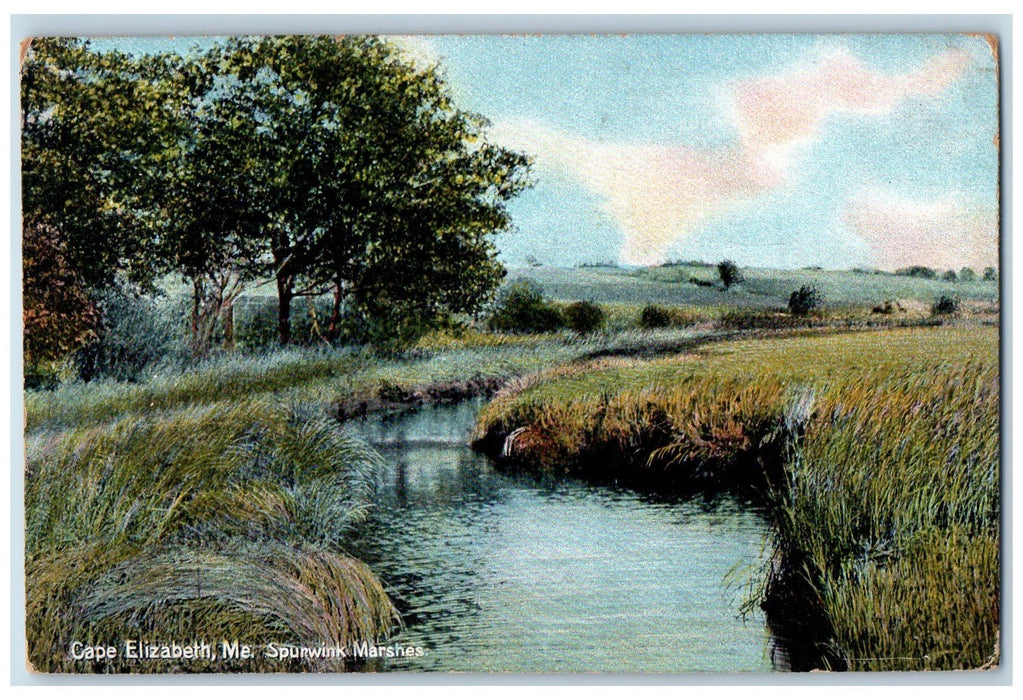 1911 Spurwink Marshes Scenic View Lake River Bushes Cape Elizabeth ME Postcard