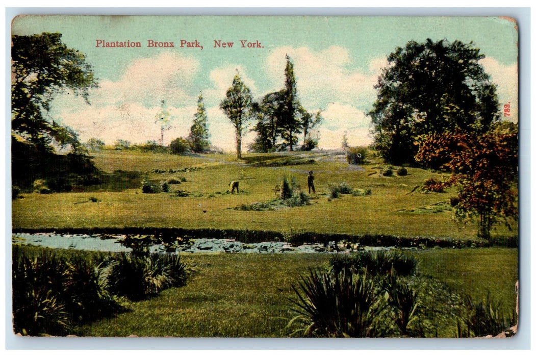 1912 Plantation Scenic View Farmers Trees Creek Bronx Park New York NY Postcard