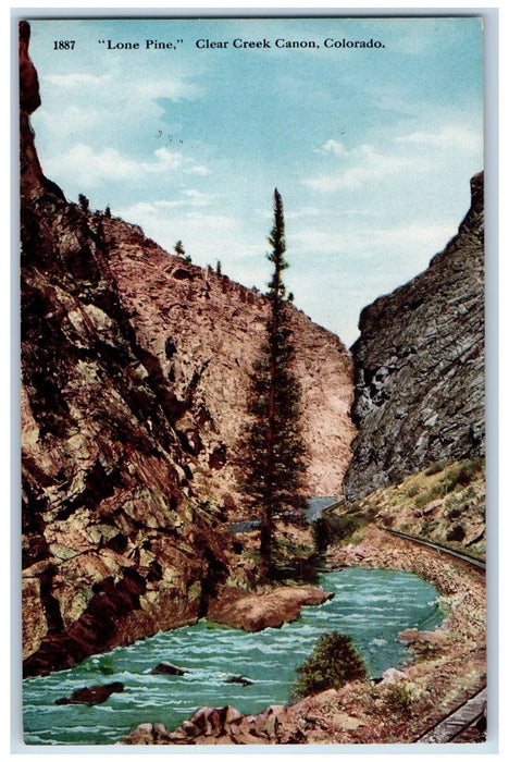 c1950 Long Pine Tree River Railroad Clear Creek Canon Colorado CO Postcard
