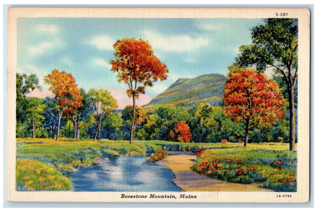 c1940's Borestone Mountain Lake Onawa Trees Scene Maine ME Unposted Postcard