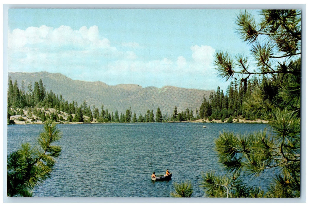 c1950's Hume Lake View People Boating Forest Mountains California CA Postcard