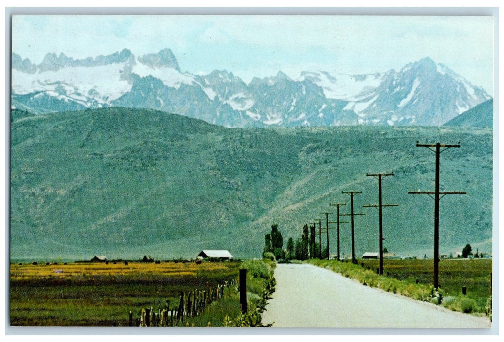 c1950's Hunewill Ranch Sawtooth Ridge Horse Cattle Road Bridgeport CA Postcard