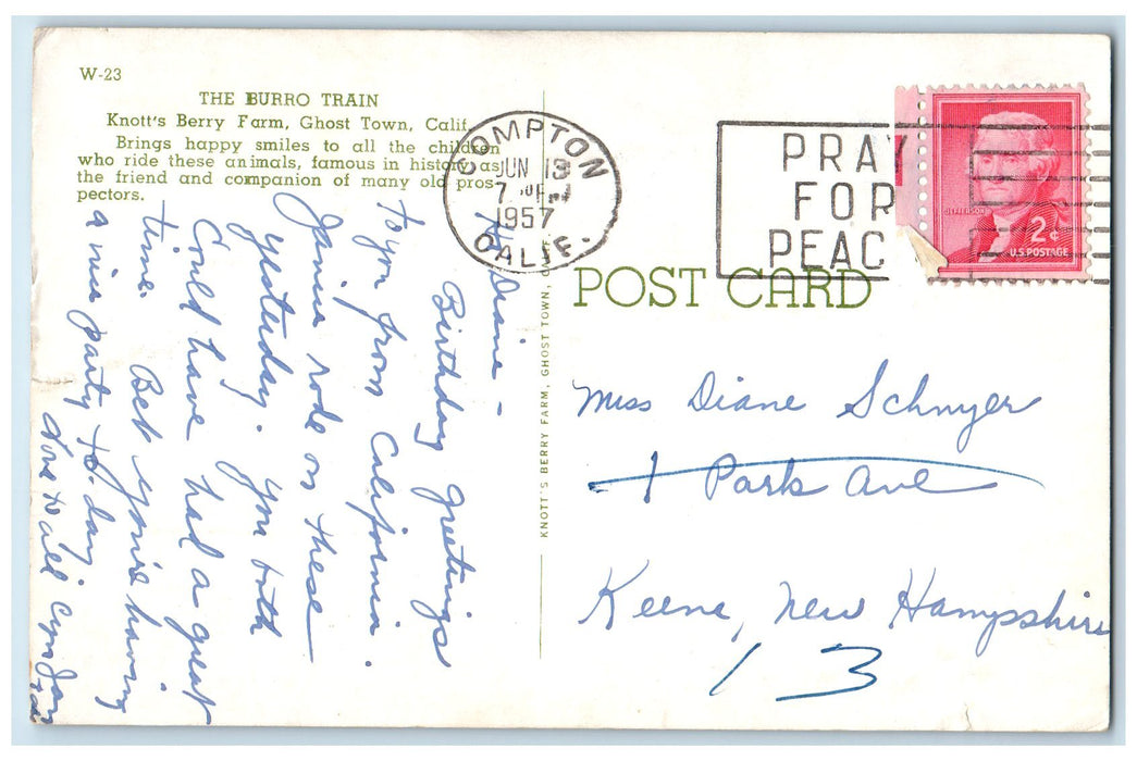 1957 Burro Train Knott's Berry Farm Horse Riding Ghost Town CA Posted Postcard
