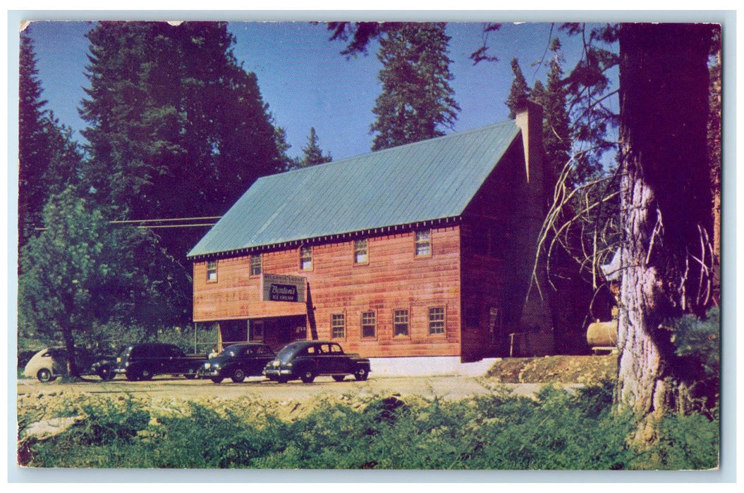 c1950 Wilsonia Lodge Classic Car Grant Grove National Park CA Unposted Postcard