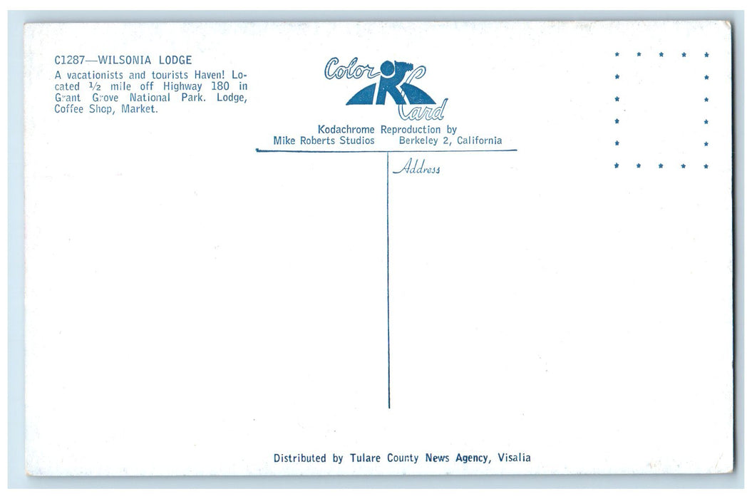 c1950 Wilsonia Lodge Classic Car Grant Grove National Park CA Unposted Postcard