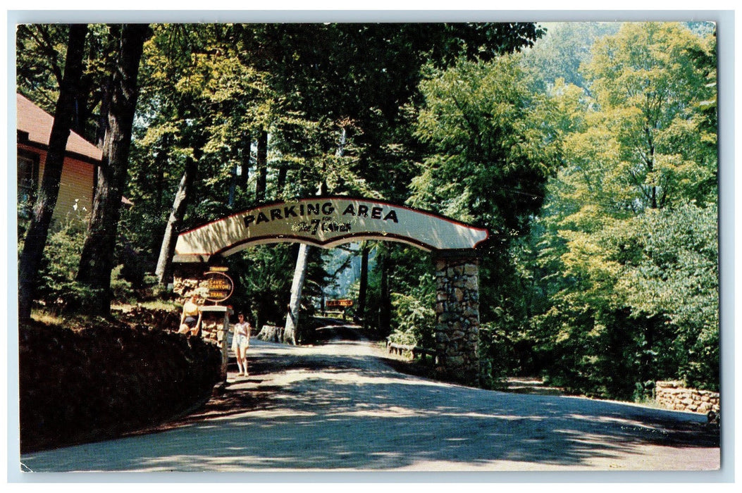 c1950's The 7 Caves Park Arc Entrance Forest Caves Bainbridge Ohio OH Postcard