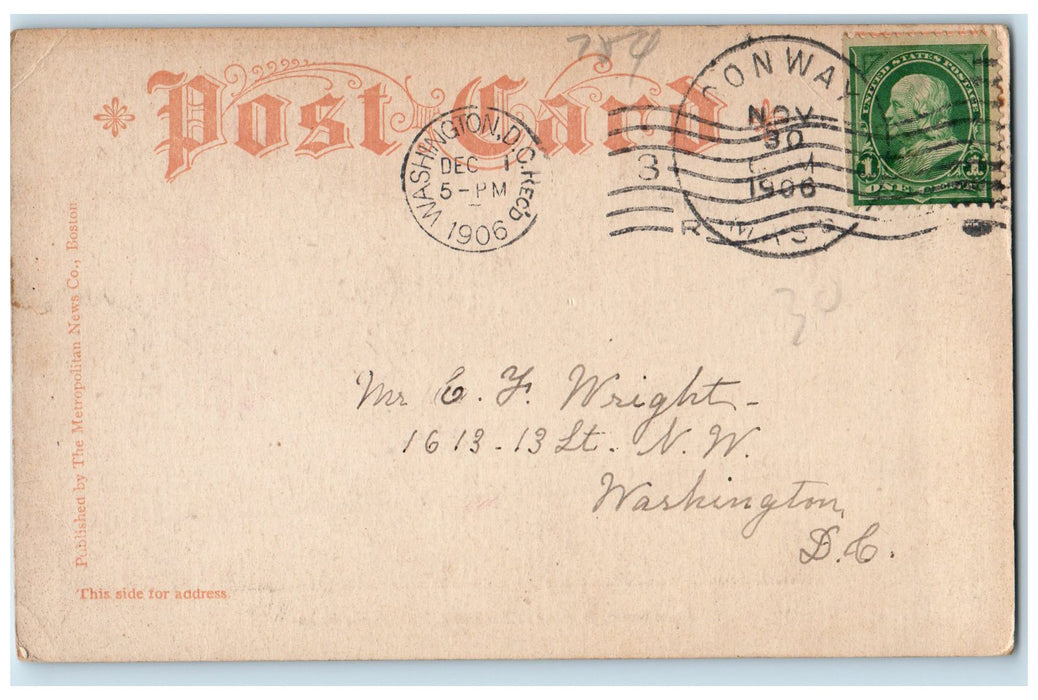 1906 State Street Horse Carriage Railroad Dirt Road Tree Springfield MA Postcard