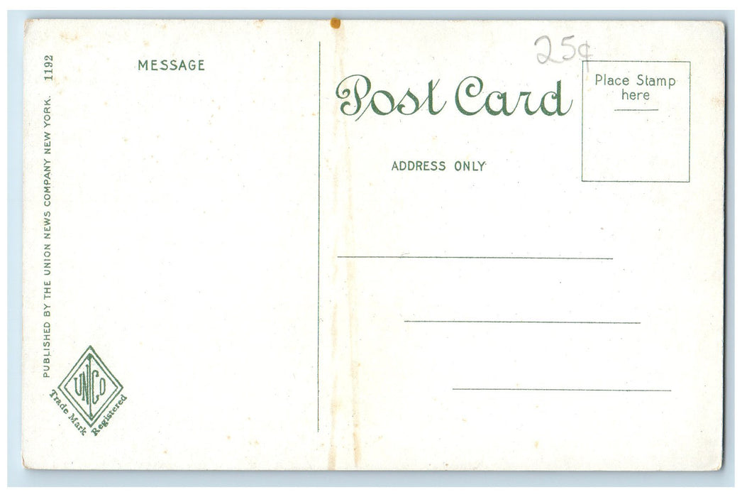 c1950's Stone Arc Westfield River Lake Railroad Forest Middlefield MA Postcard