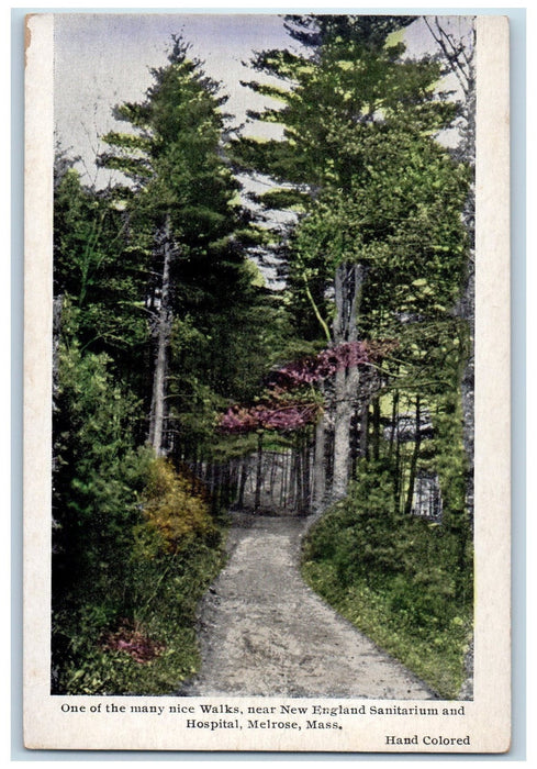 c1950's Many Nice Walks New England Sanitarium Hospital Road Melrose MA Postcard