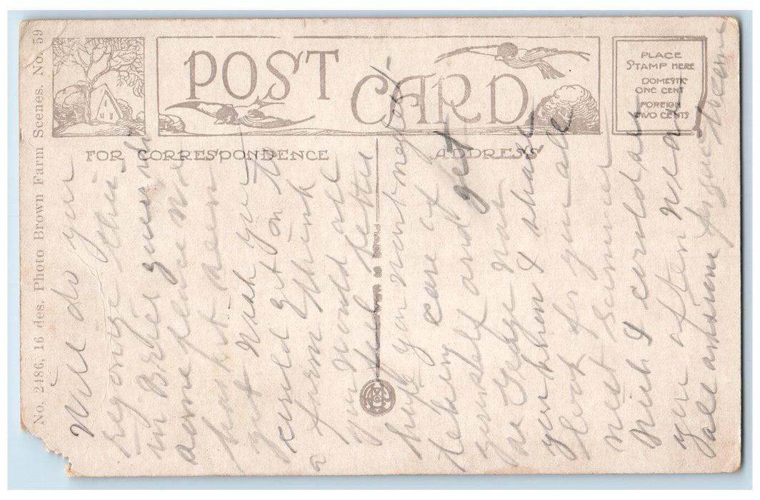 c1920's Greetings From Brier Group Of Cows Pond Lake Massachusetts MA Postcard