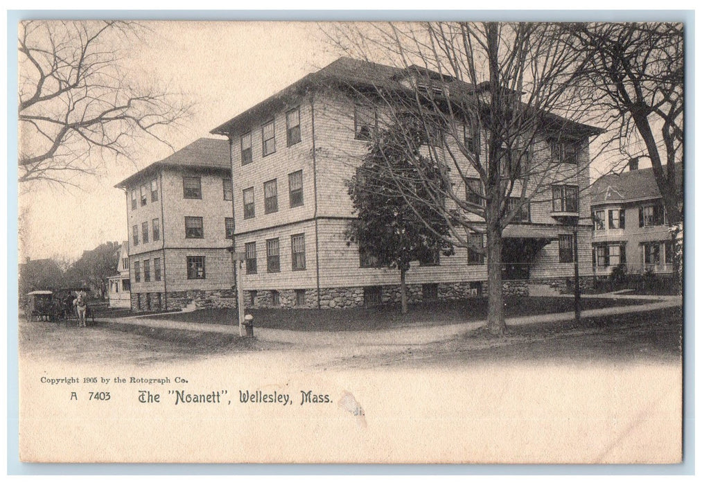 c1905's The Noanett Horse Carriage Dirt Road Wellesley Massachusetts MA Postcard