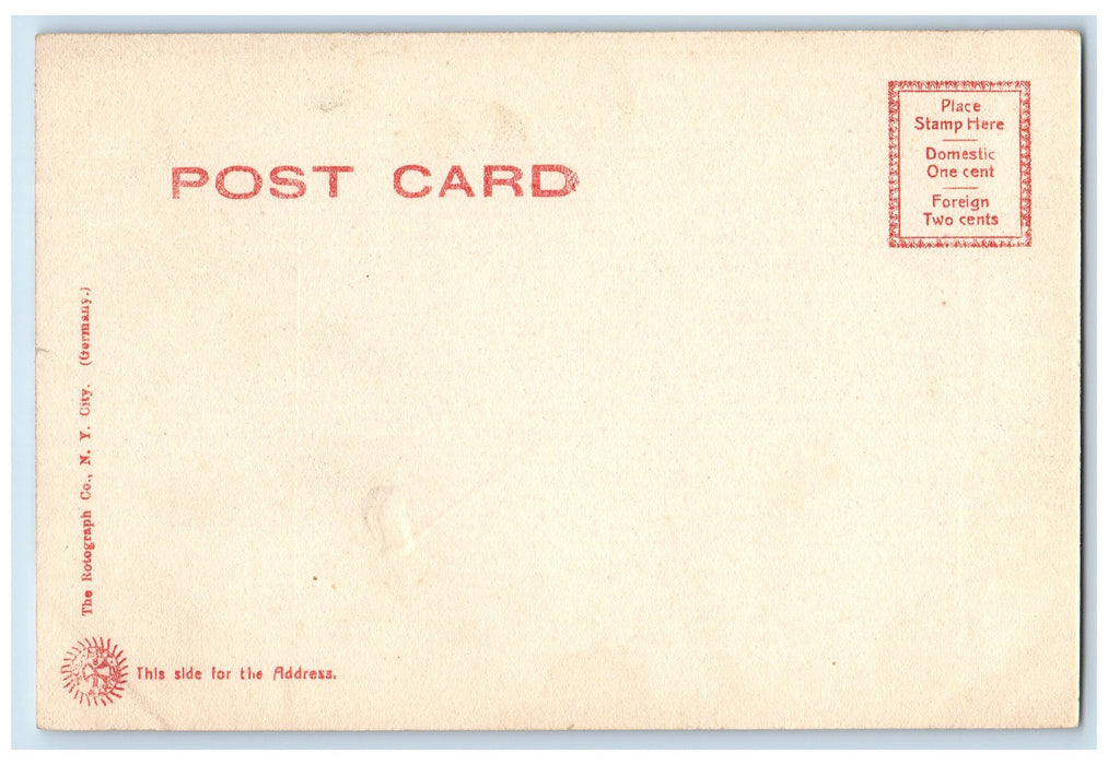 c1905's The Noanett Horse Carriage Dirt Road Wellesley Massachusetts MA Postcard