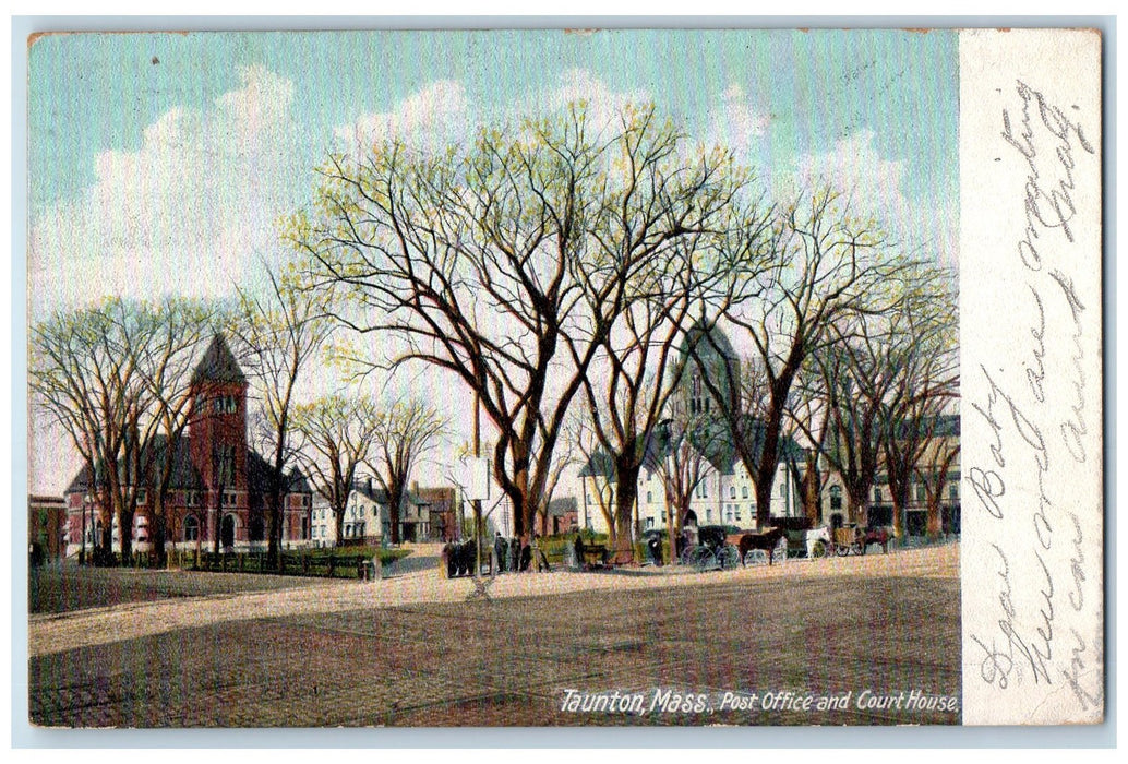 1905 Post Office Court House View Horse Carriage Lined Trees Taunton MA Postcard