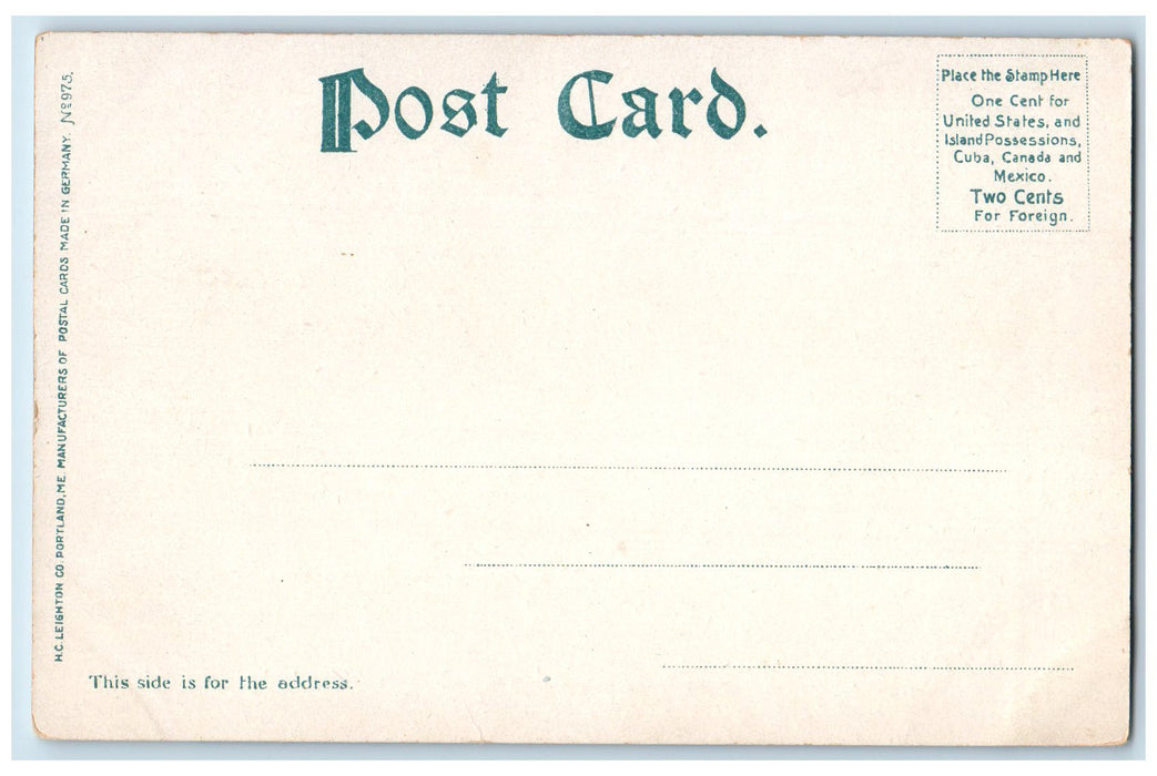 c1905 Torrey's Woods View Dirt Road Grove Williamstown Massachusetts MA Postcard