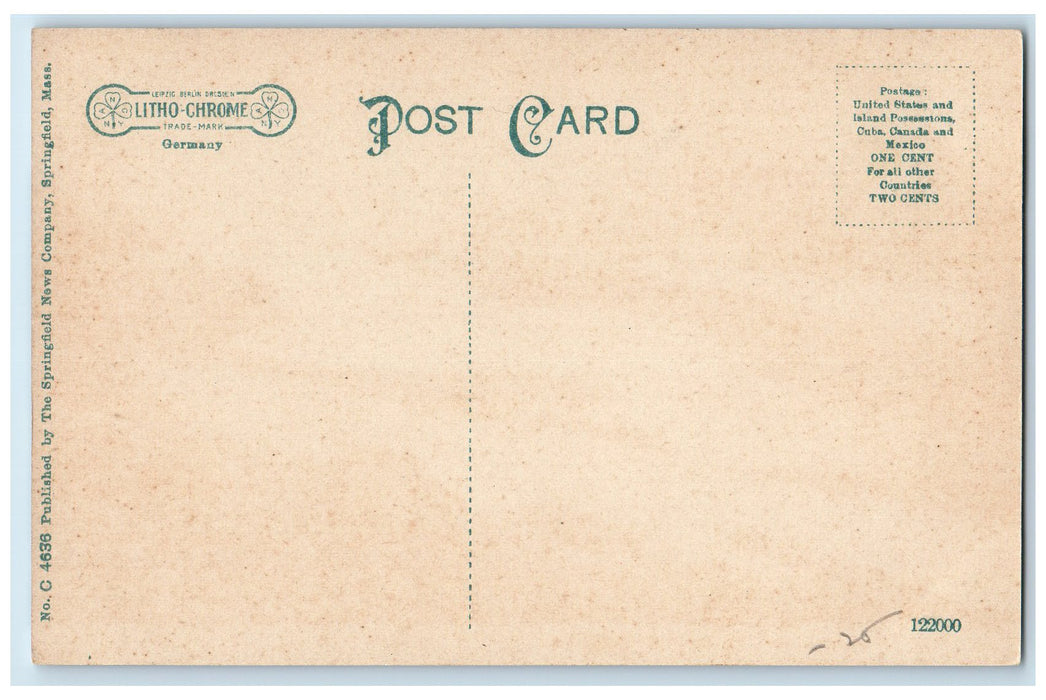 c1920's Cascade In Forest Park Springfield Massachusetts MA Unposted Postcard