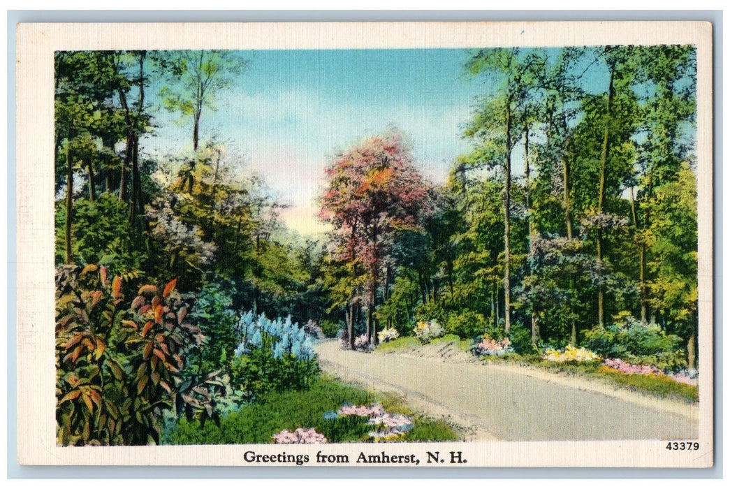 c1950 Greetings From Amherst Dirt Road Curve Forest New Hampshire NH Postcard
