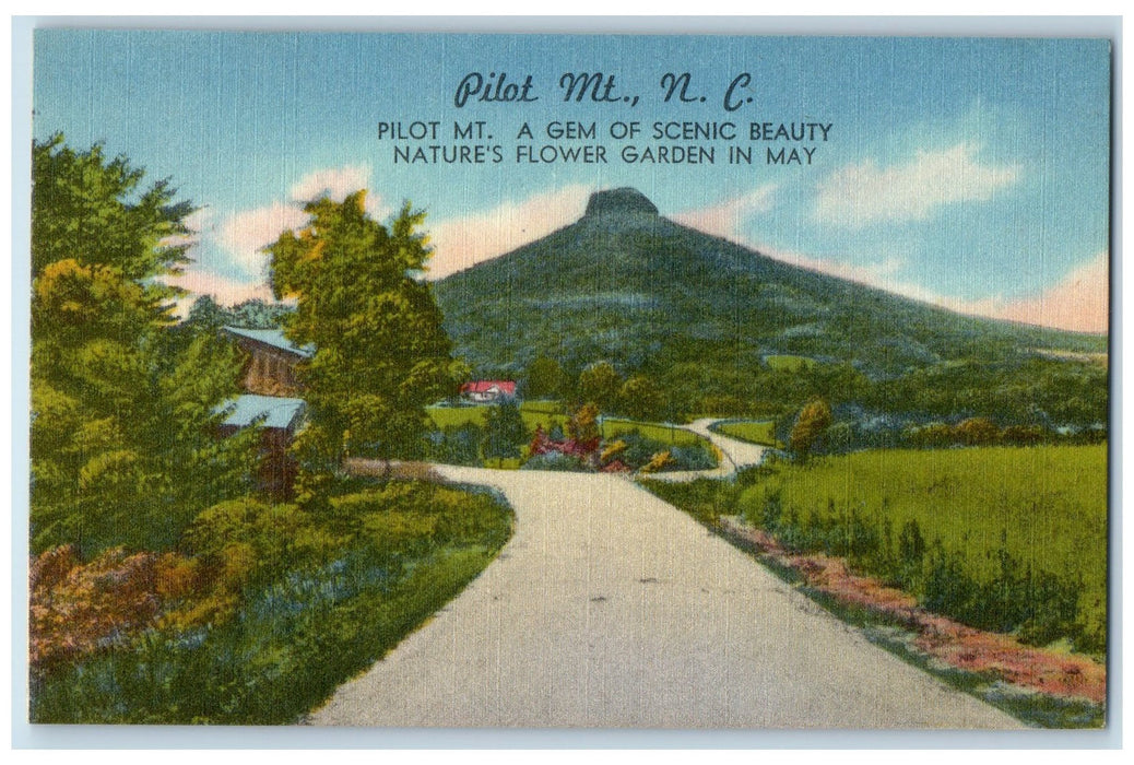 c1950 Pilot Mountain Road Scenic View Flower Garden North Carolina NC Postcard