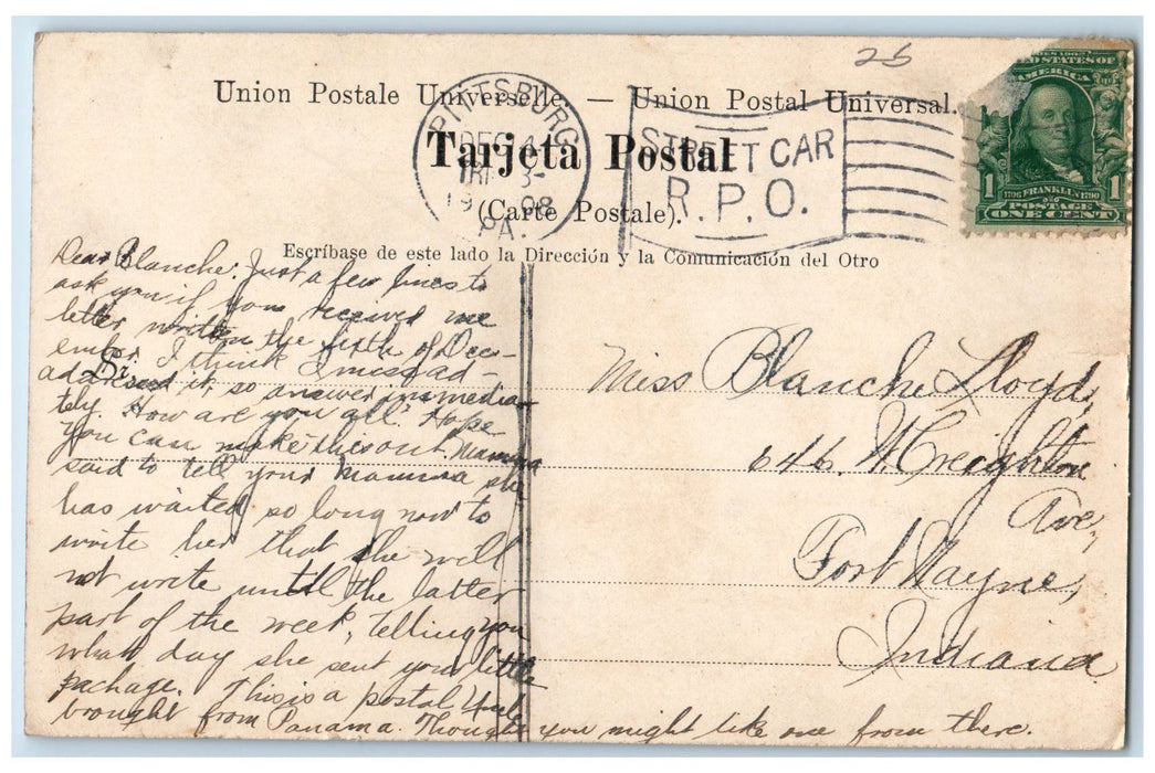 1908 Cristobal Palm Trees Scene Canal Zone Panama PA Posted Vintage Postcard
