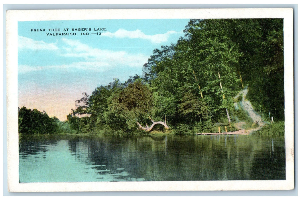 c1920's Freak Tree At Sager's Lake Scene Valparaiso Indiana IN Unposted Postcard