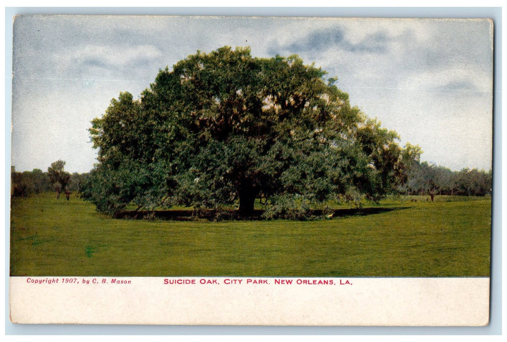 c1920's Suicide Oak City Park New Orleans Louisiana LA Unposted Vintage Postcard