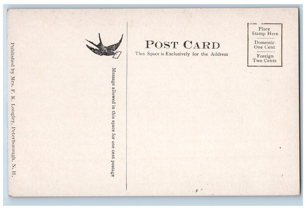 c1905's Boat House On The Contoocook Scene Peterborough NH Unposted Postcard
