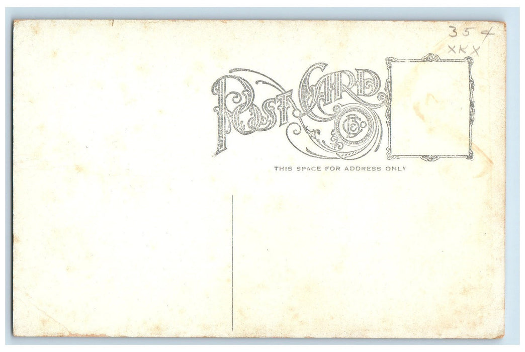 c1910's Deer Park Cascade North Woodstock New Hampshire NH Unposted Postcard