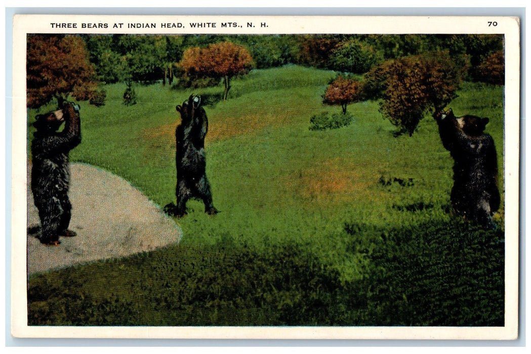 c1940s Three Bears At Indian Head View White Mountains New Hampshire NH Postcard