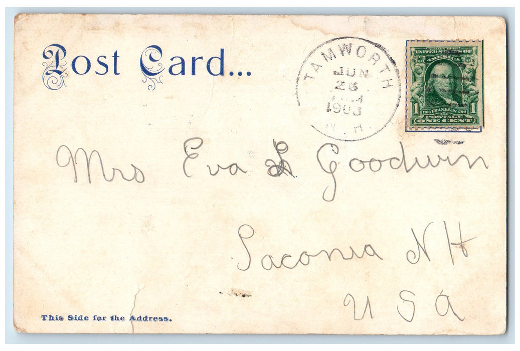 1903 Homes Photo Artist Chicorua Scene Mt. Chocorua From Lake NH Posted Postcard