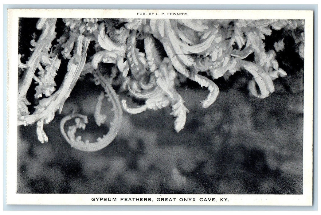 c1960's Gypsum Feathers Great Onyx Mammoth Cave Kentucky KY Unposted Postcard