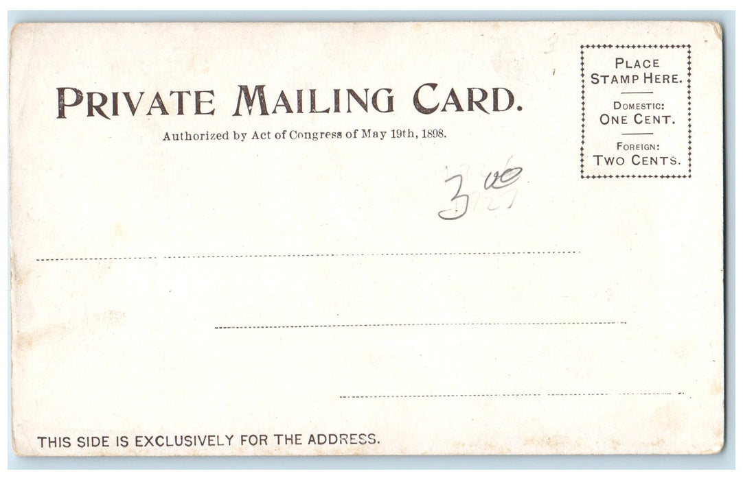c1905s Greetings From Chicago Great Northern Hotel Schiller Palmer IL Postcard