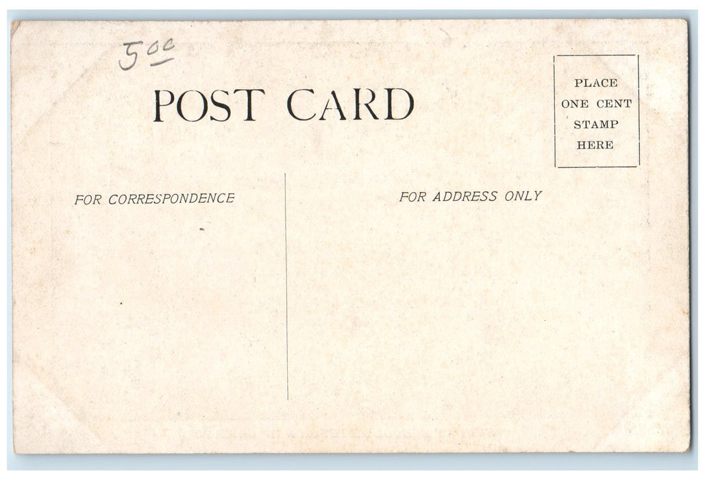 c1920's Sunday School Extension Barrow Load Chinese Cabbage Chicago IL Postcard