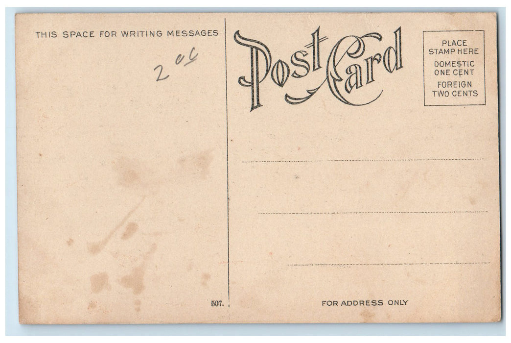 c1910's  Greetings From Chicago Cobb Hall Steamer Eastland Chicago IL Postcard