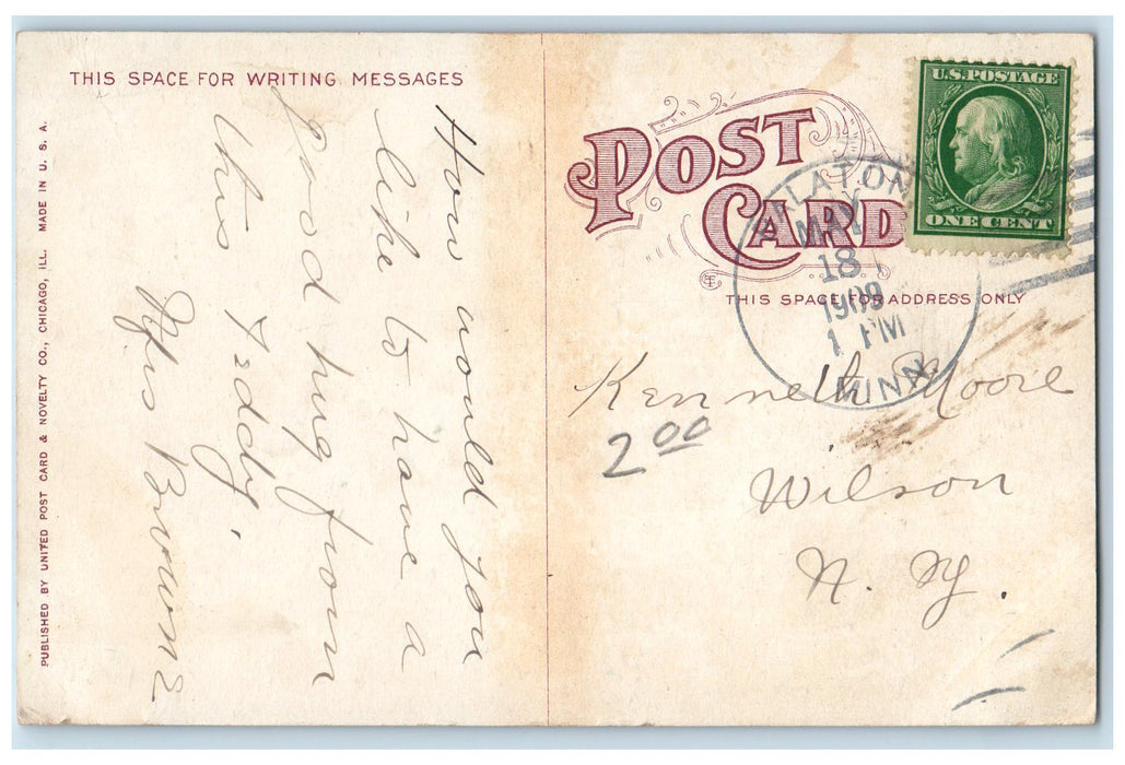 1909 Polar Bear Scene Lincoln Park Chicago Illinois IL Posted Antique Postcard
