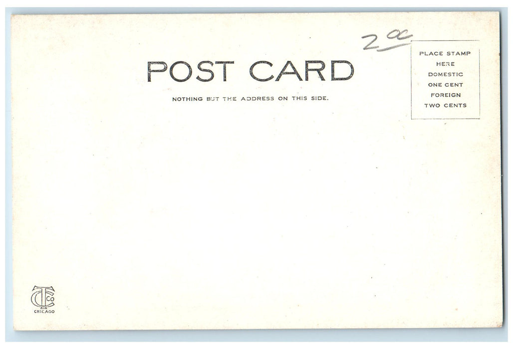 c1905's Baby Elephant Lincoln Park Chicago Illinois IL Unposted Antique Postcard