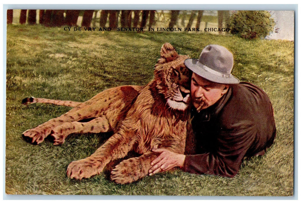 c1940's Cy De Vry And Senator Lincoln Park Chicago Illinois IL Unposted Postcard