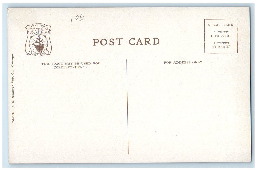 c1940's Lion And Cubs Lincoln Park Chicago Illinois IL Unposted Vintage Postcard