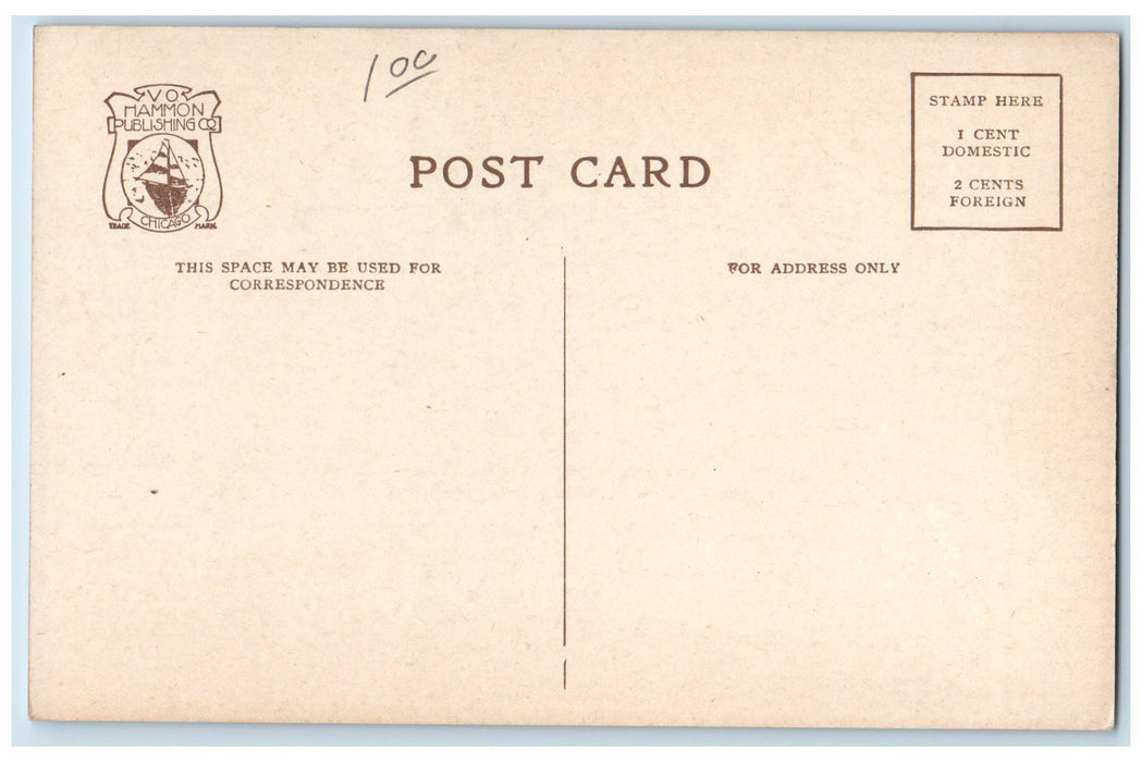 c1940s Elephant Scene Lincoln Park Chicago Illinois IL Unposted Vintage Postcard