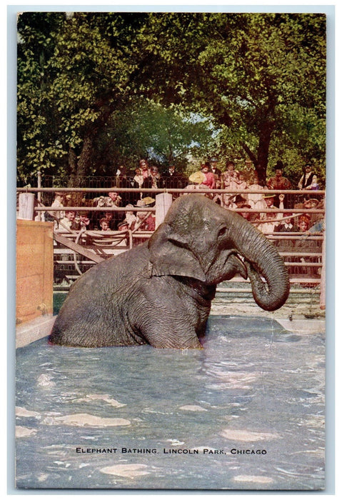 c1940s Elephant Bathing Scene Chicago Illinois IL Unposted Vintage Postcard
