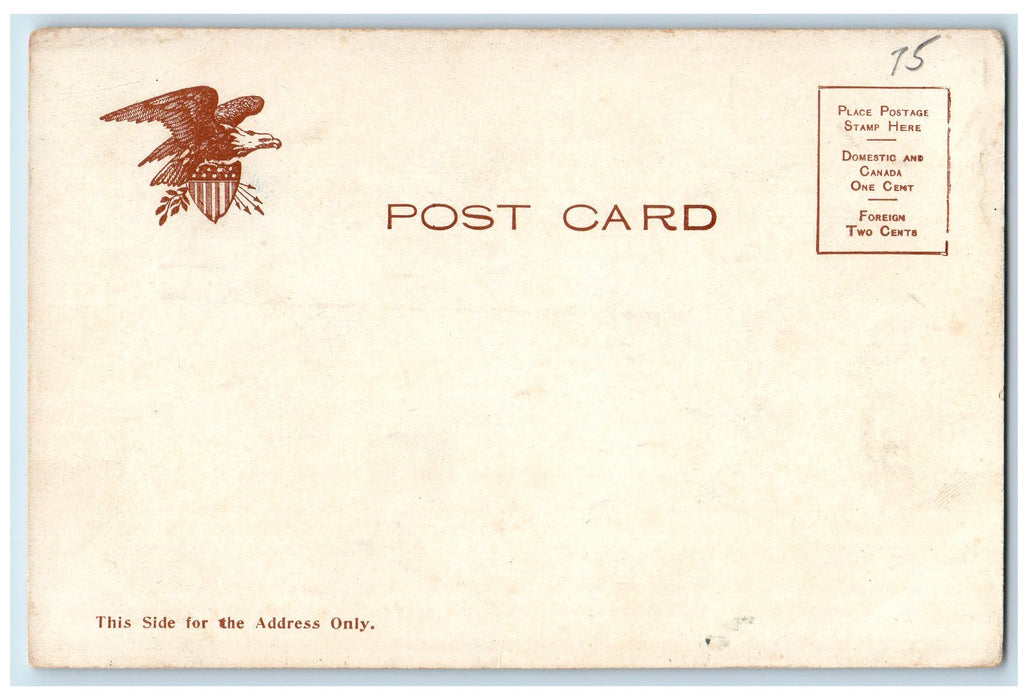 c1905 Entrance To Fair Grounds Arc Horse Carriage Tourist Rochester NH Postcard