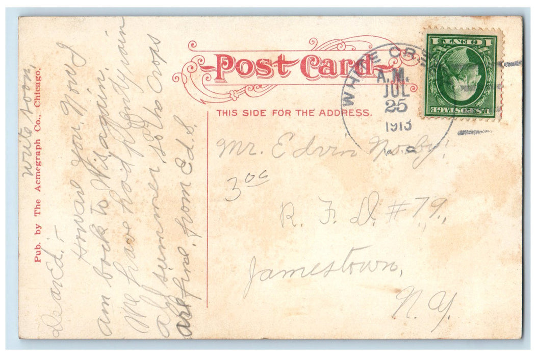 1913 State Street In Carnival Attire Carriage Chicago Illinois IL Flags Postcard