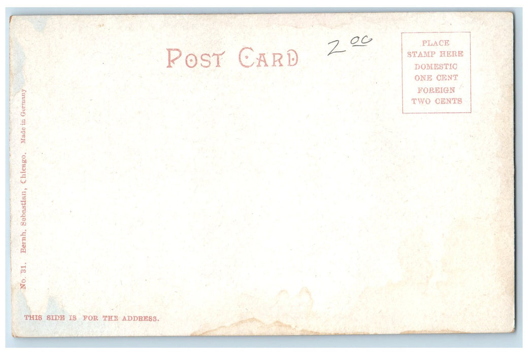 c1905's Harbor Entrance Steamship Scene Chicago Illinois IL Unposted Postcard