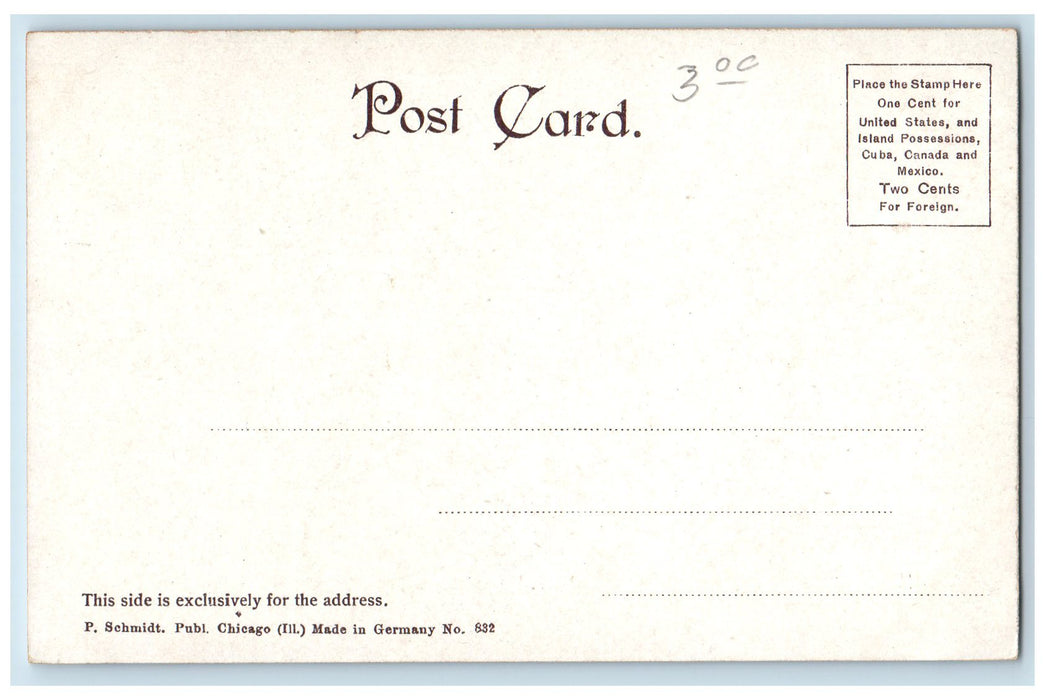 c1905's Armour D Elevator South Branche Scene Chicago Illinois IL  Postcard