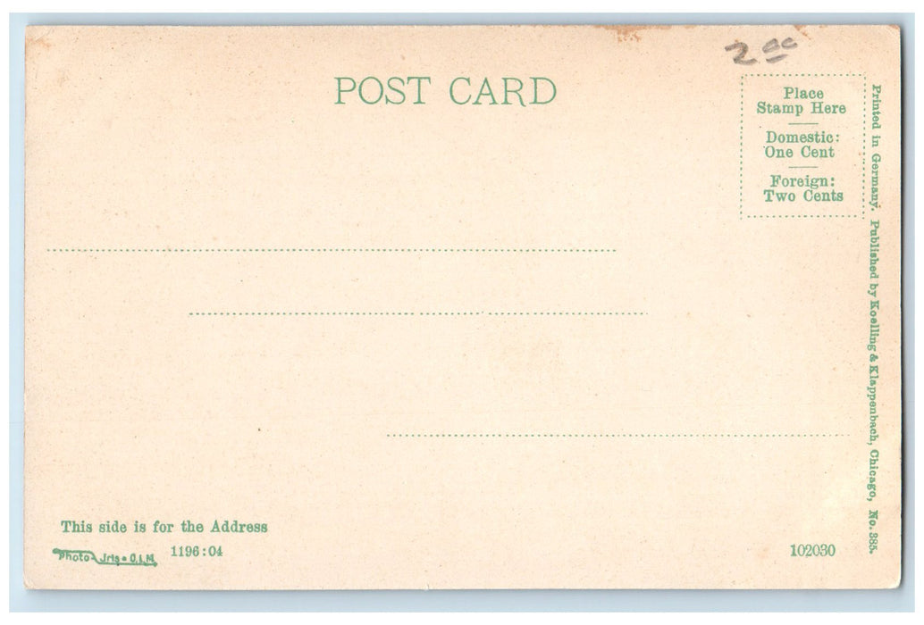 c1905's A Lively Corner State And Madison Chicago Illinois IL Unposted Postcard