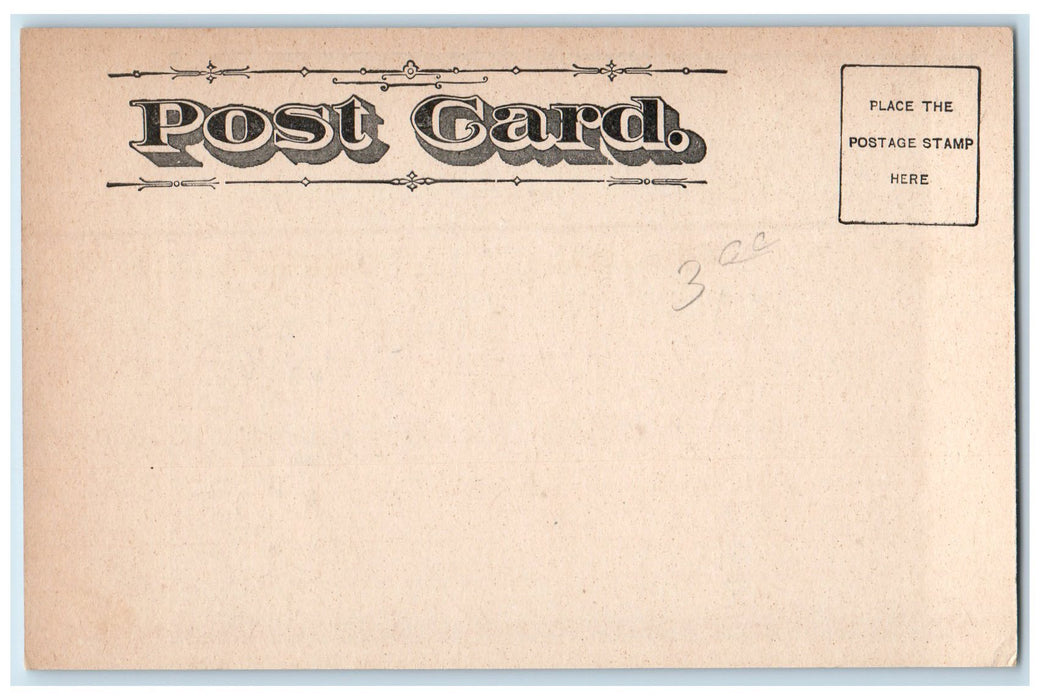 c1905's State Street Buses Scene Chicago Illinois IL Unposted Vintage Postcard
